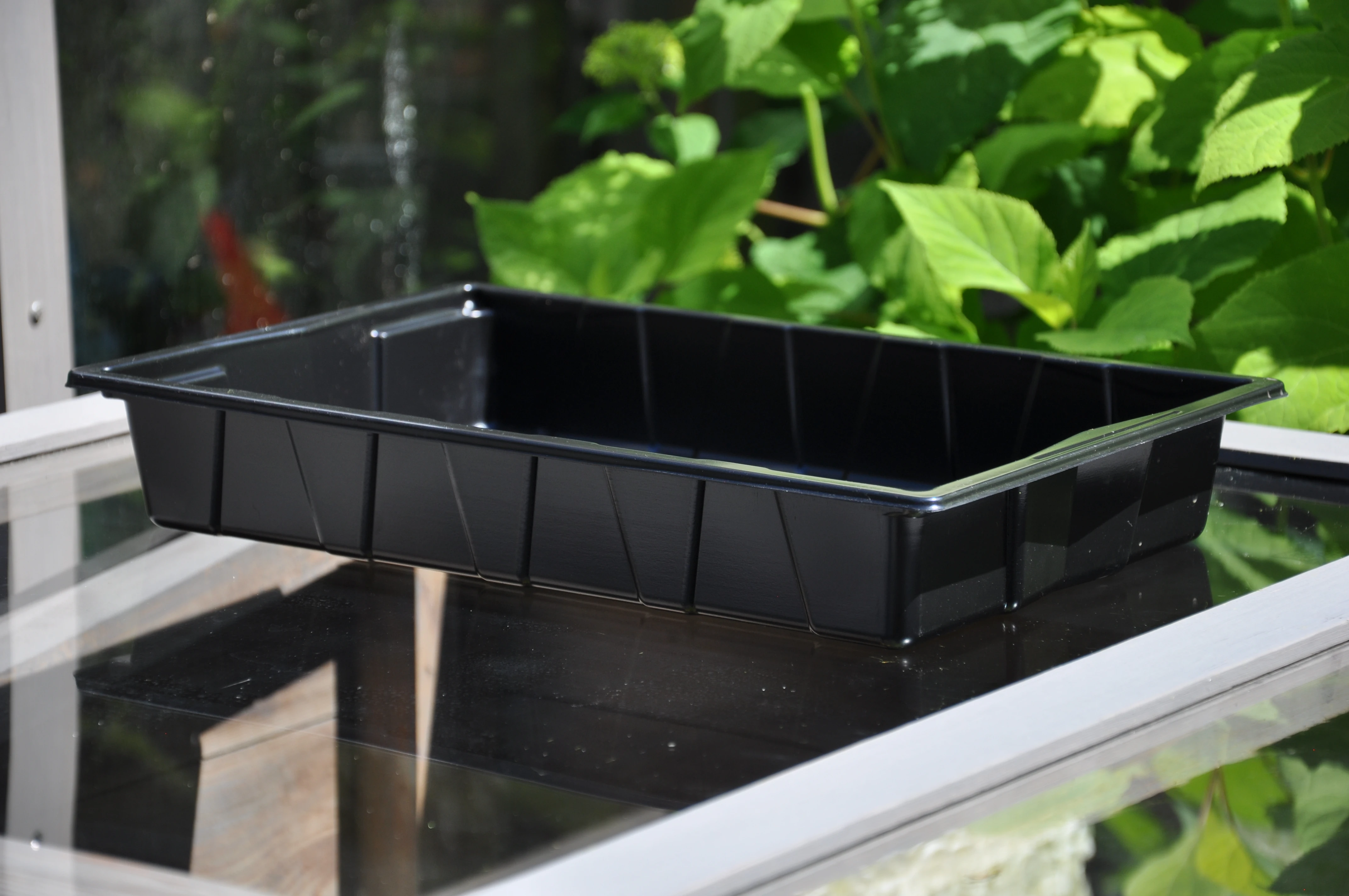 Royal Well Seed Tray 37.5 x 23 x 6 cm - Afbeelding 2